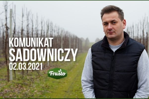 Komunikat sadowniczy 02.03.2021 / uszkodzenia mrozowe? czy już czas na zabiegi olejowe?